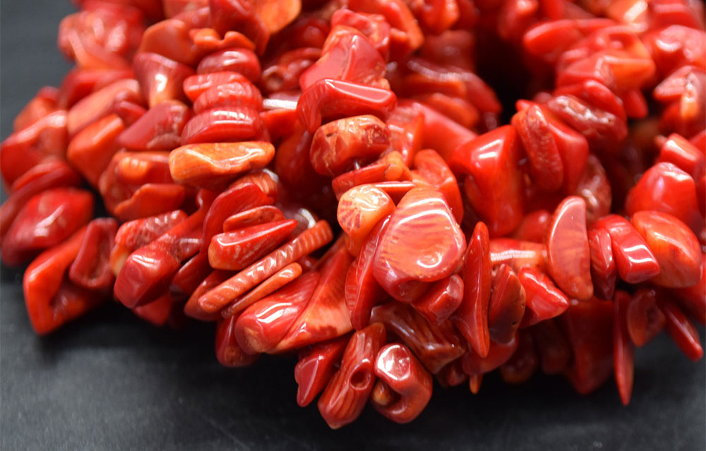 معرفی کل سنگ مرجان Coral